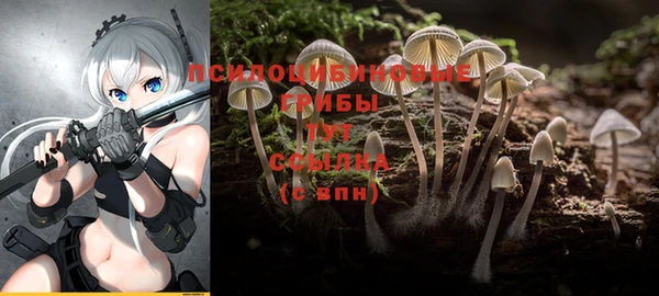 крисы Алексеевка