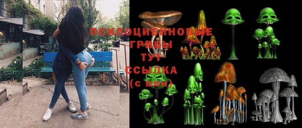 крисы Алзамай