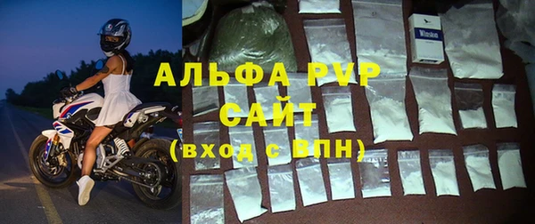 крисы Алзамай