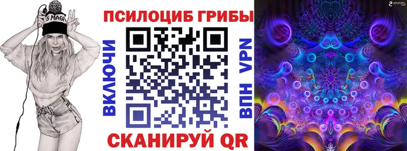 Псилоцибиновые грибы мицелий наркошоп Нурлат